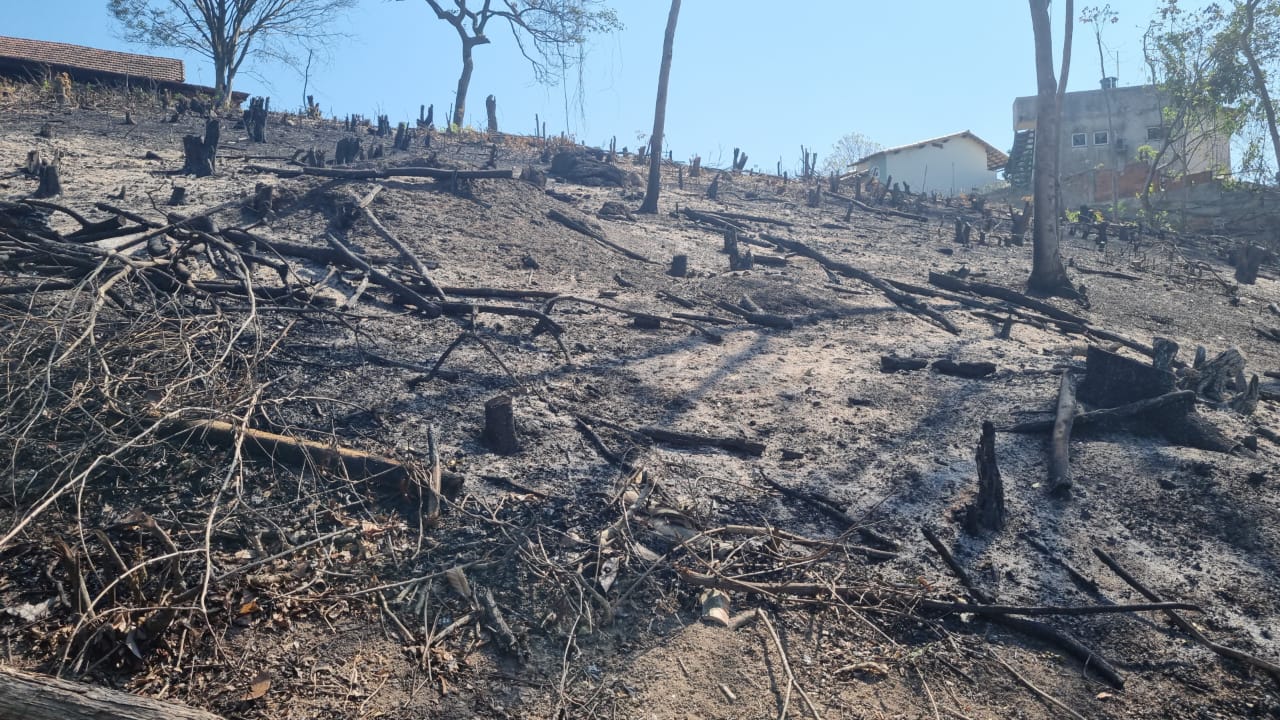 Polícia Ambiental identifica indícios de queimada e desmatamento em Seropédica 