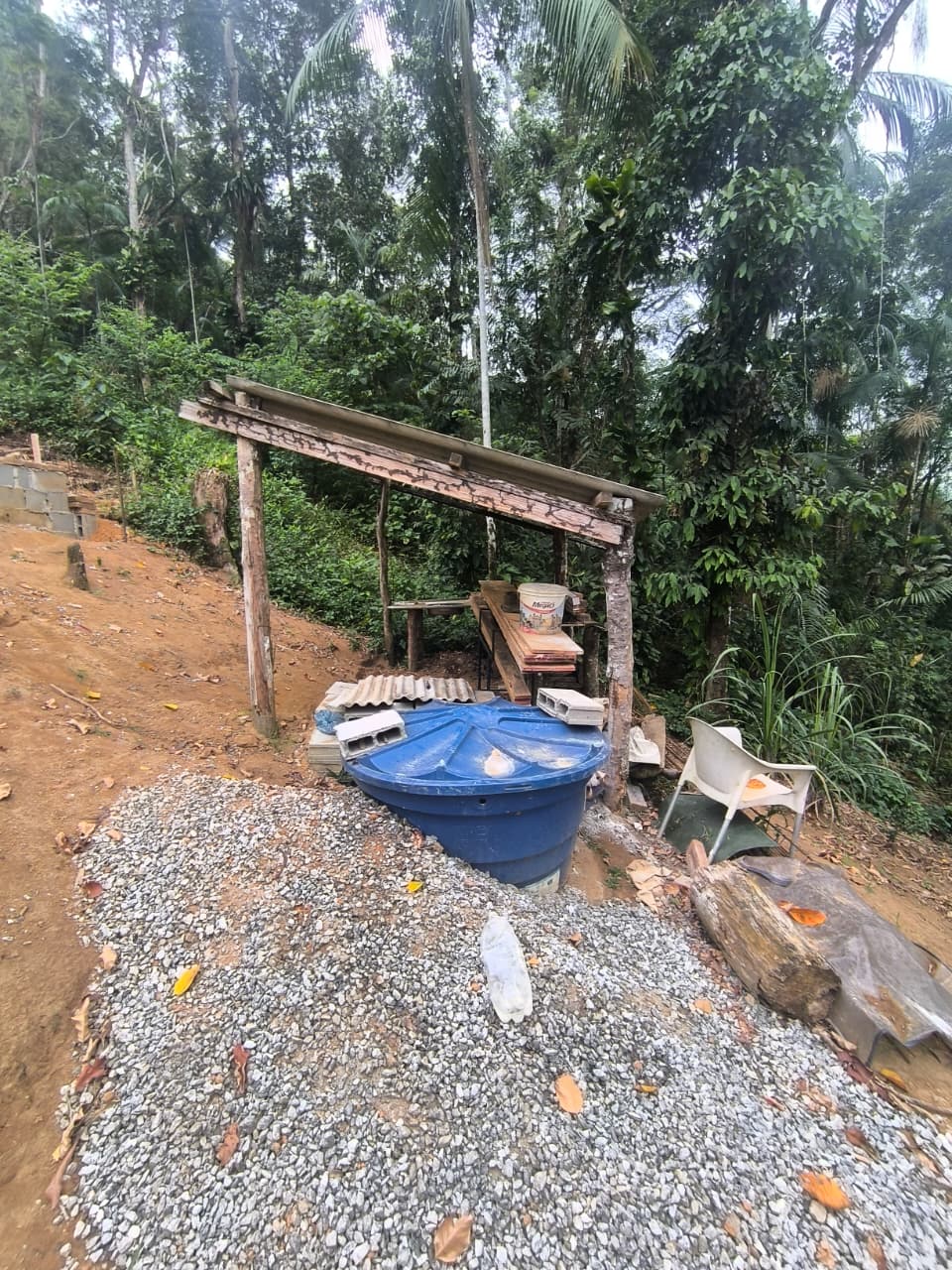 Denúncia leva UPAm Juatinga a identificar construção irregular e desmatamento em Paraty 