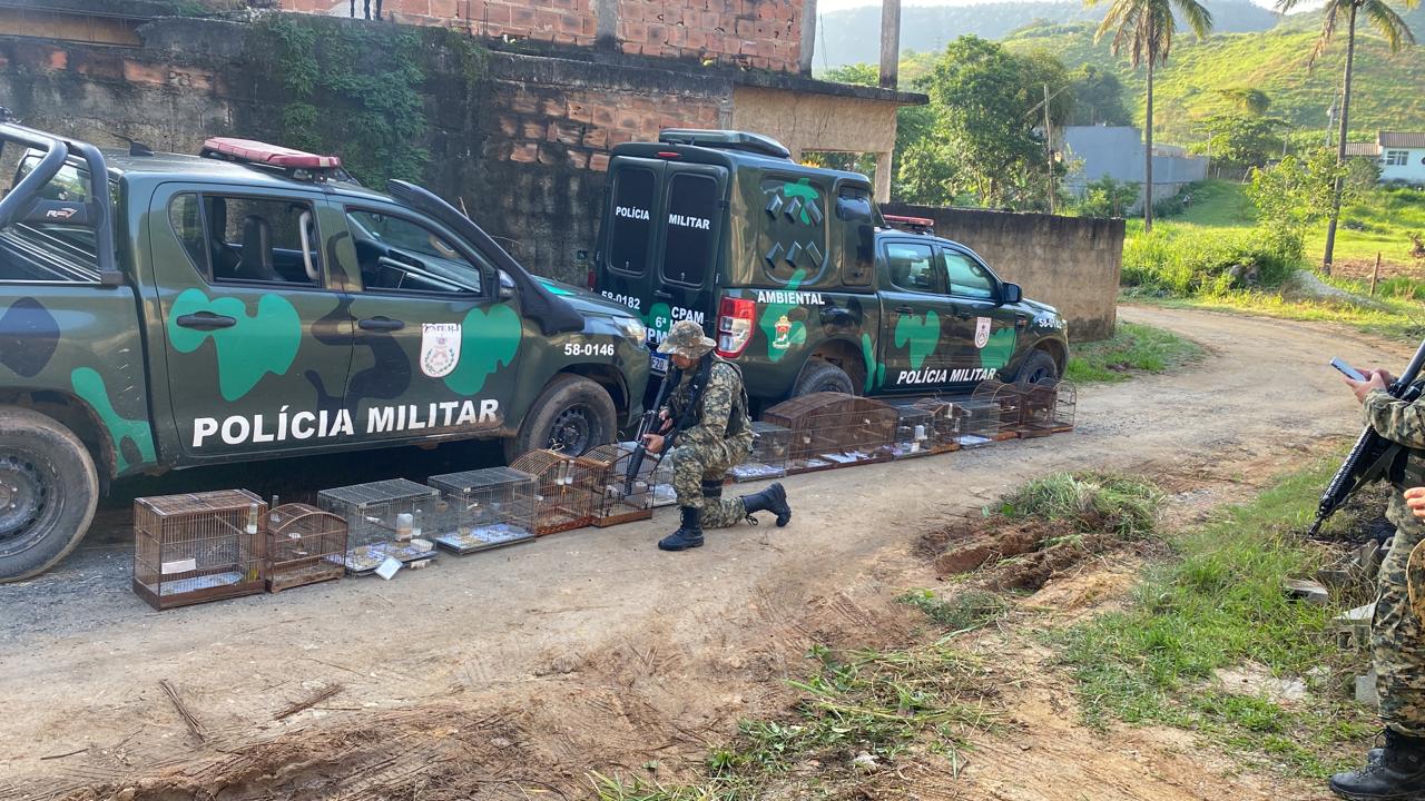 Operação do Comando de Polícia Ambiental resgata 40 pássaros de cativeiro e apreende arma e munições em Rio Bonito