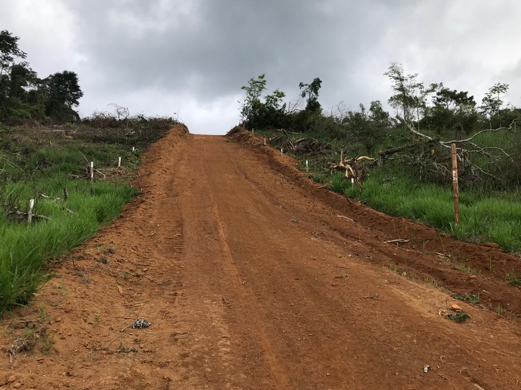 Abertura de estrada clandestina e desmatamento são localizados em Paraty após denúncia