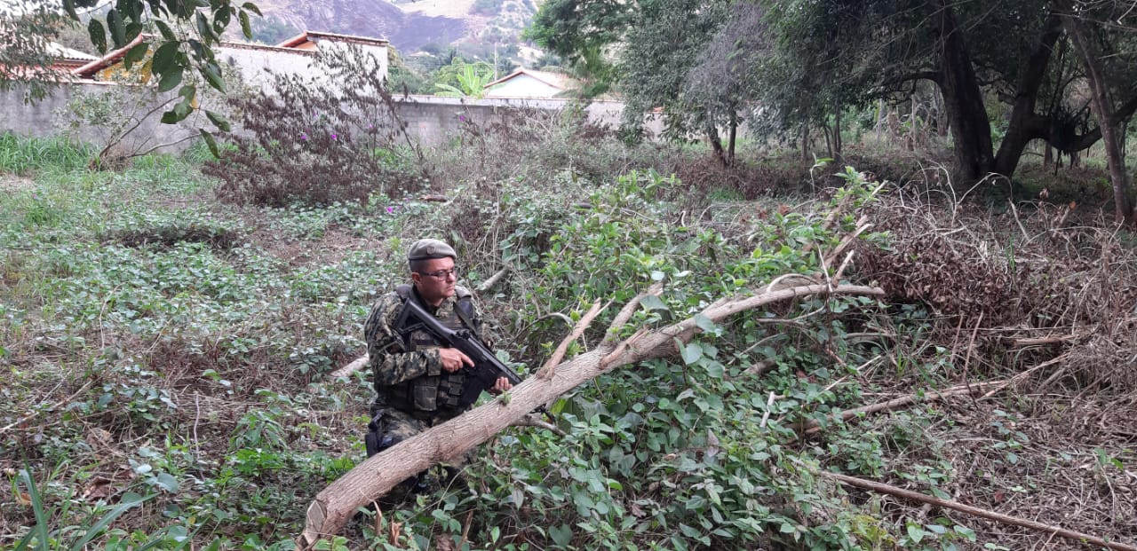 Policiais ambientais contatam a veracidade de denúncia sobre corte de árvores em Maricá