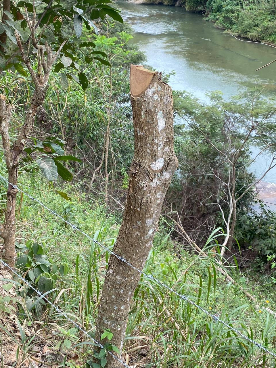 Polícia ambiental identifica corte de árvores e desmatamento em fazenda no município de São Sebastião do Alto