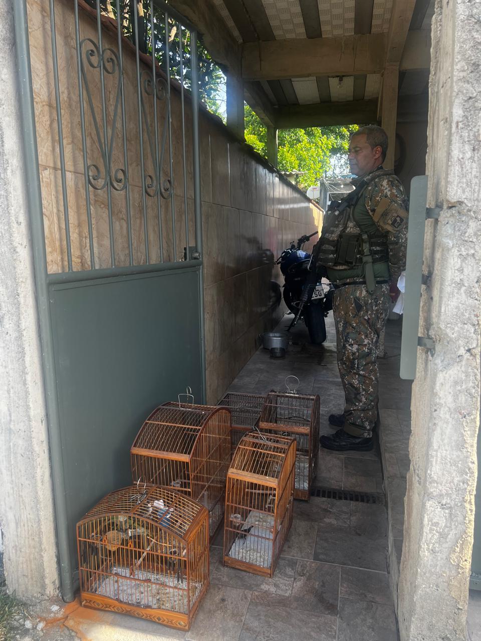 Polícia Ambiental apreende animais silvestres mantidos em cativeiro sem licença em Guaratiba 