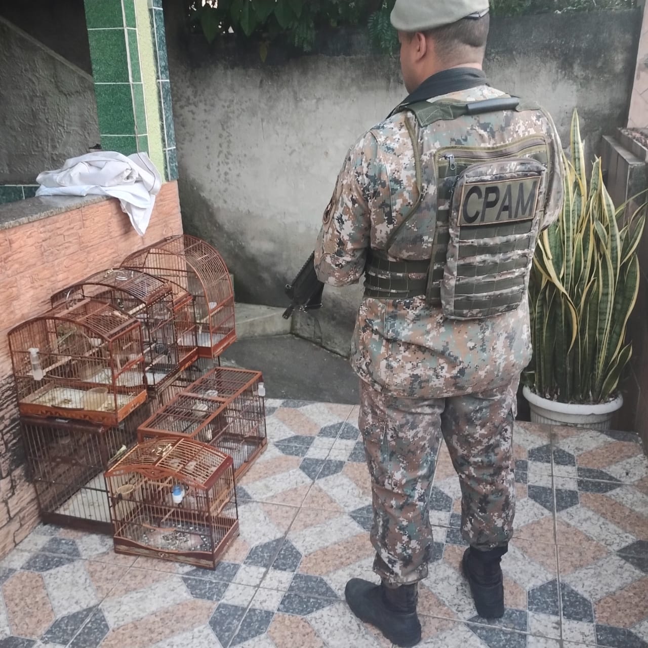 Polícia resgata pássaros mantidos em cativeiro no bairro de Campo Grande 