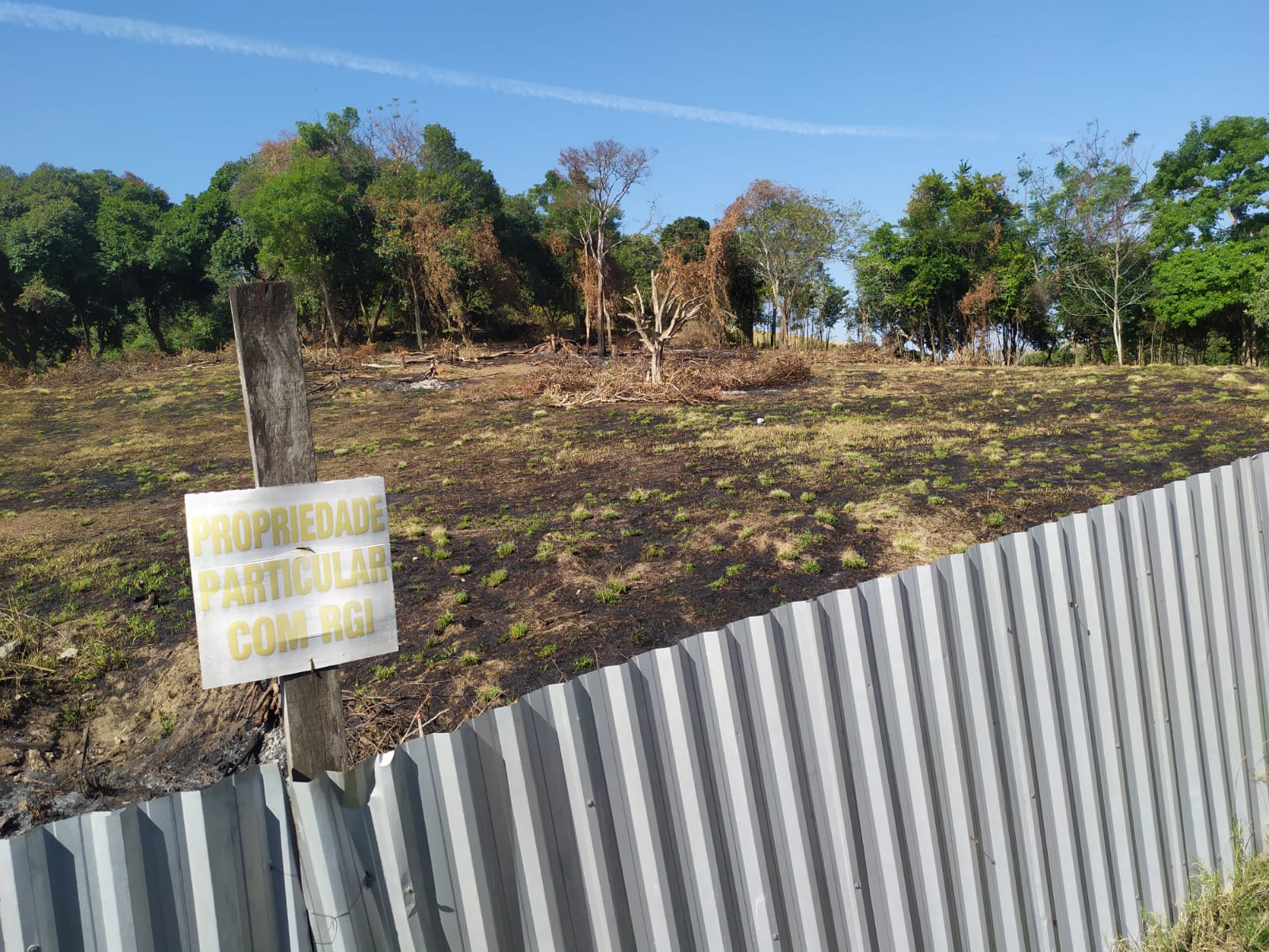 Denúncia sobre extração de árvores leva polícia a terreno com 8 mil metros de área degradada em Guaratiba