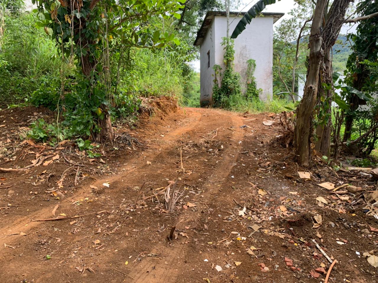 Denúncia do Linha Verde leva polícia ambiental a identificar 1500 metros quadrados de área desmatada em Angra dos Reis