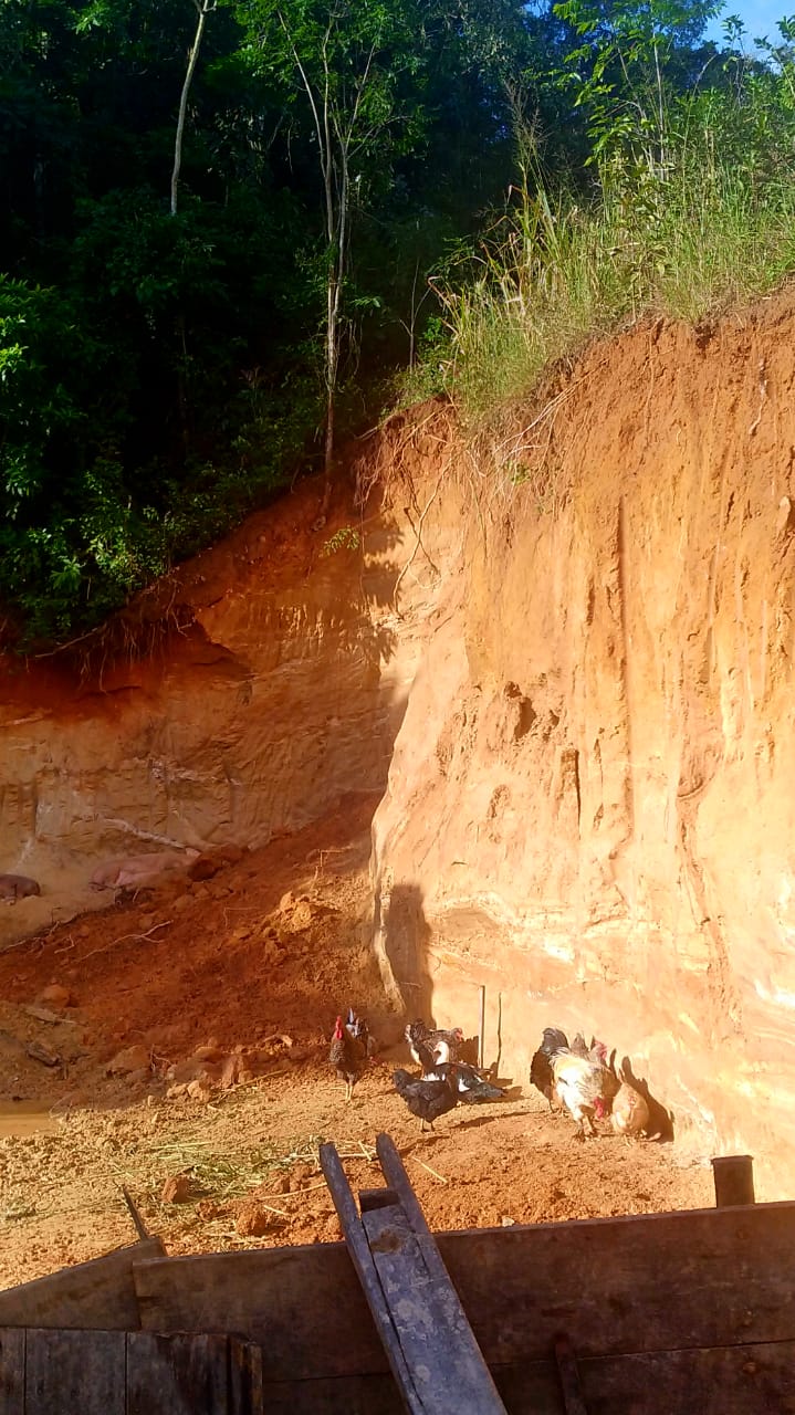 Denúncia de desmatamento leva polícia ambiental a identificar corte de barranco em terreno de 80 metros quadrados em Saquarema