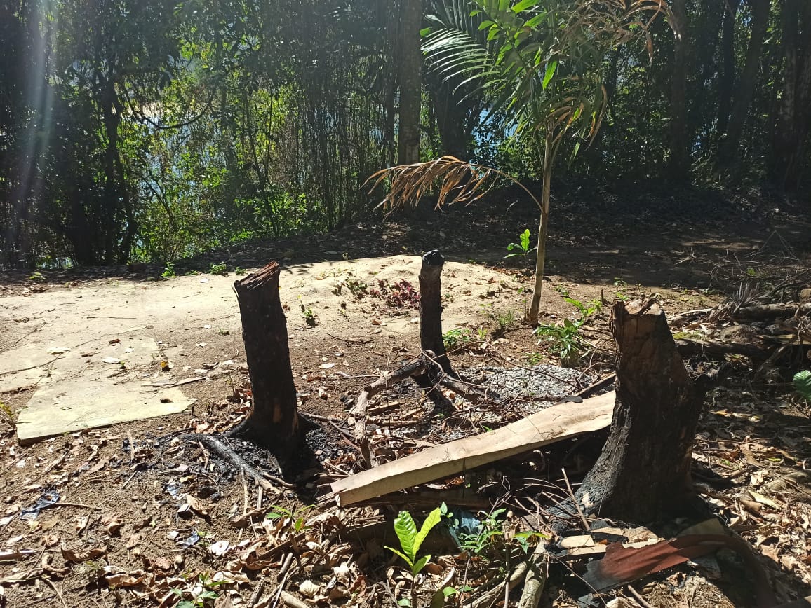 Polícia militar averigua denúncia do Linha Verde sobre desmatamento em área de preservação em Angra dos Reis
