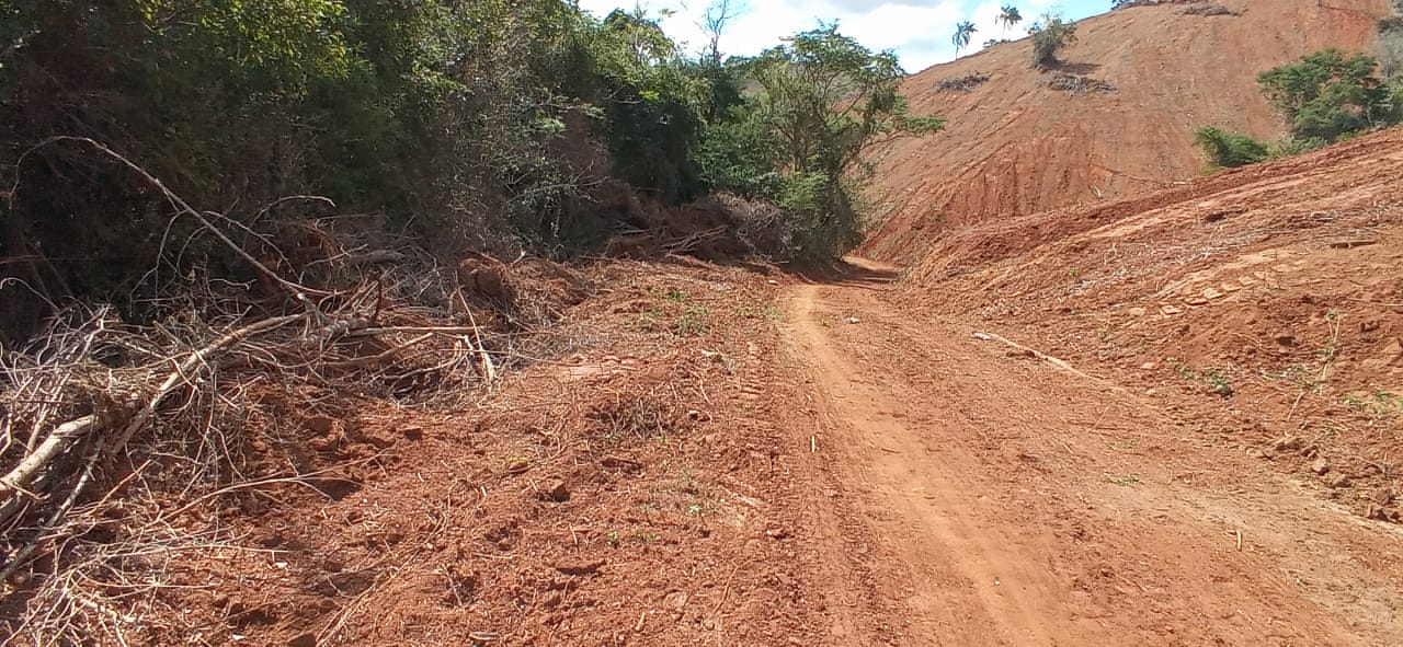Linha Verde leva polícia a flagrar desmatamento em área de 30 mil metros quadrados em Santo Antônio de Pádua