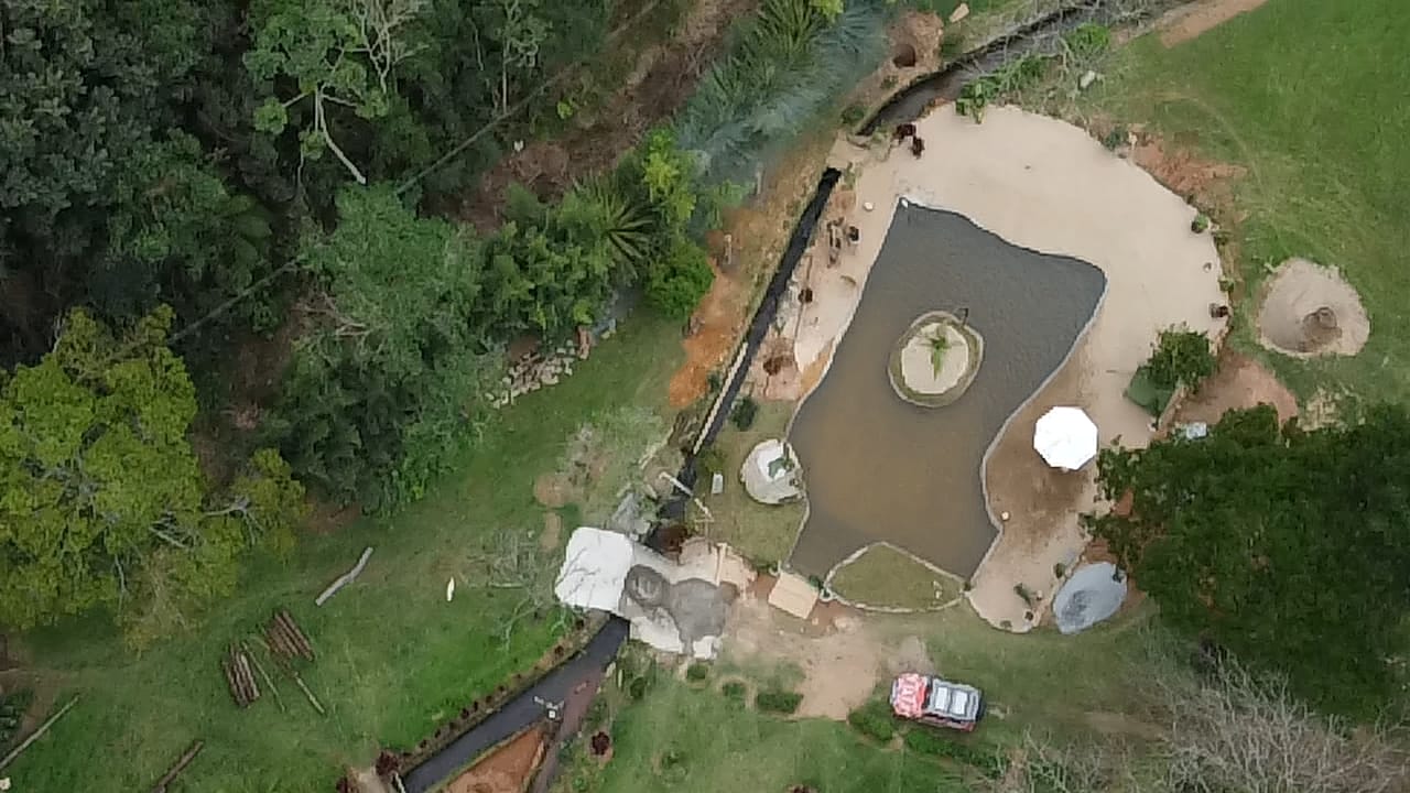 Polícia flagra construção irregular de lago em propriedade de Teresópolis com auxílio do Linha Verde