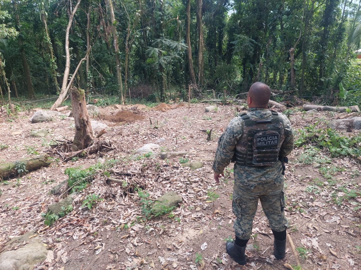 Polícia flagra diversos crimes ambientais em Mangaratiba após informações do programa Linha Verde, do Disque Denúncia
