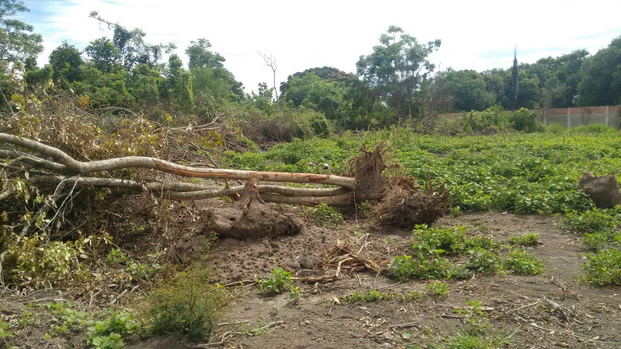 Denúncia leva polícia a encontrar crime de extração mineral em Itaboraí