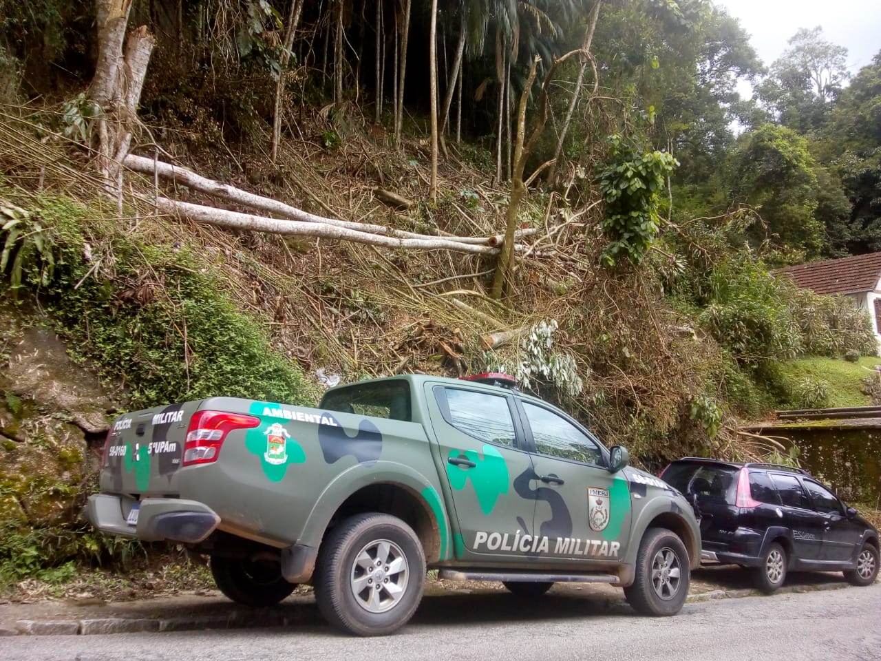 Polícia verifica denúncia de desmatamento em Petrópolis