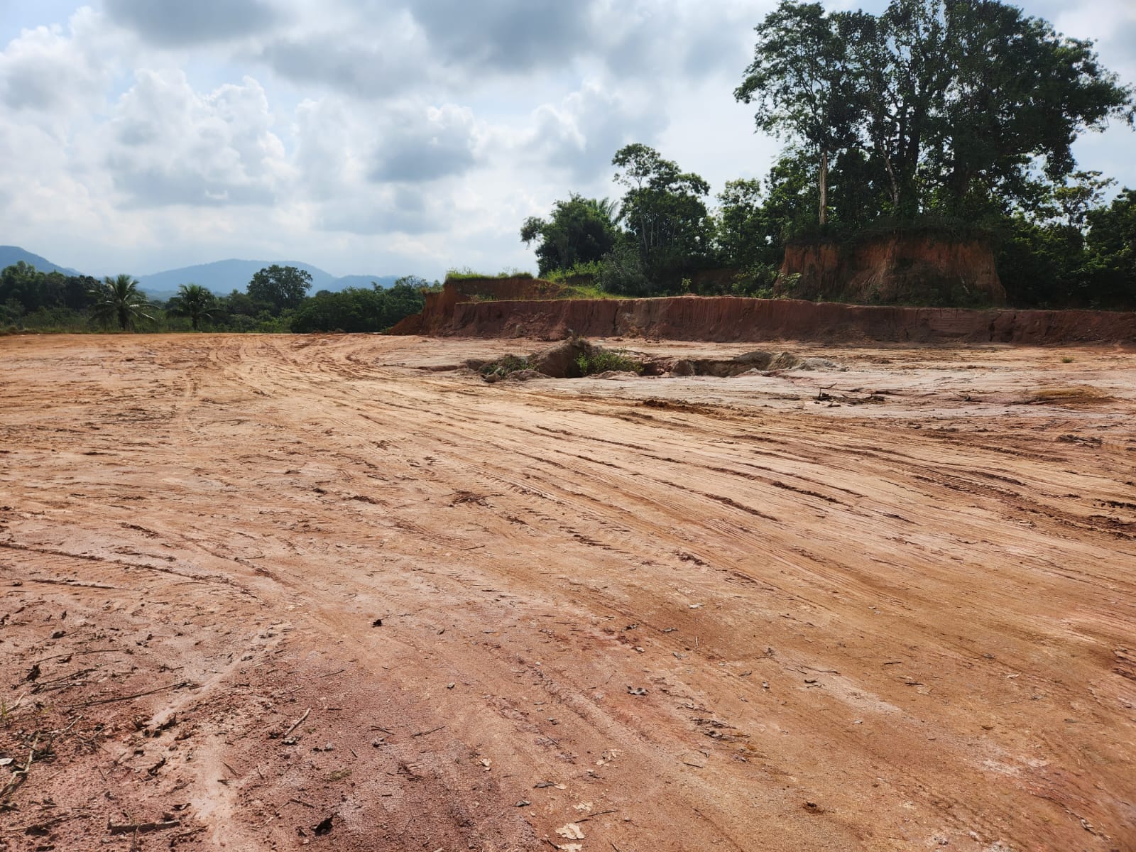 Policiais da 1ª UPAm encontram 4 mil metros de área degradada em Nova Iguaçu com auxílio de denúncia