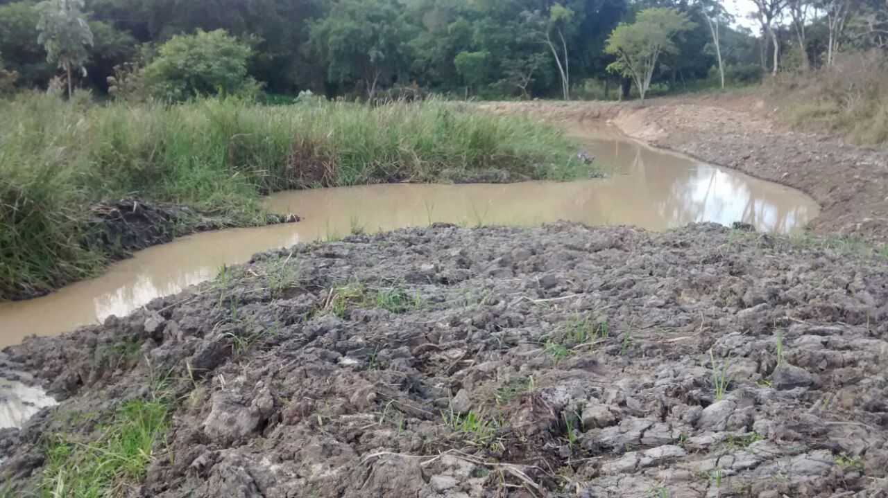 Na semana das comemorações do Dia Mundial do Meio Ambiente, denúncias do Linha Verde ajudam polícia no combate aos crimes ambientais