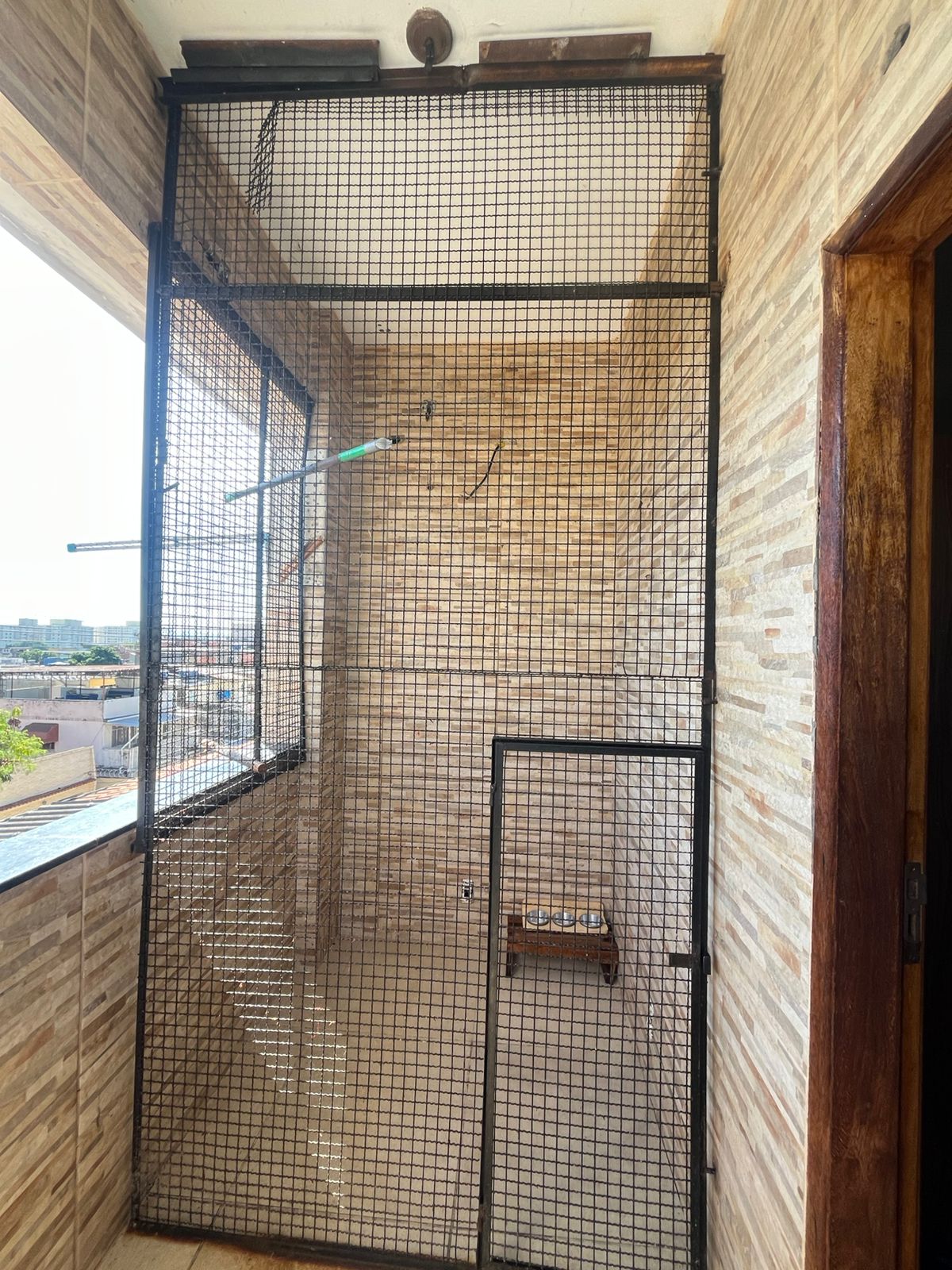 CPAm encontra viveiro onde macaco prego era mantido em Irajá