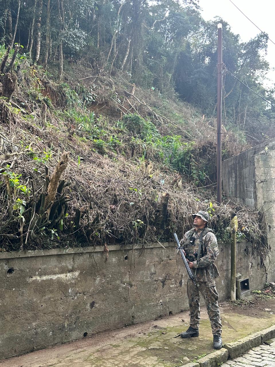 Polícia Ambiental identifica árvores cortadas sem autorização em bairro de Petrópolis após informação feita ao Linha Verde 