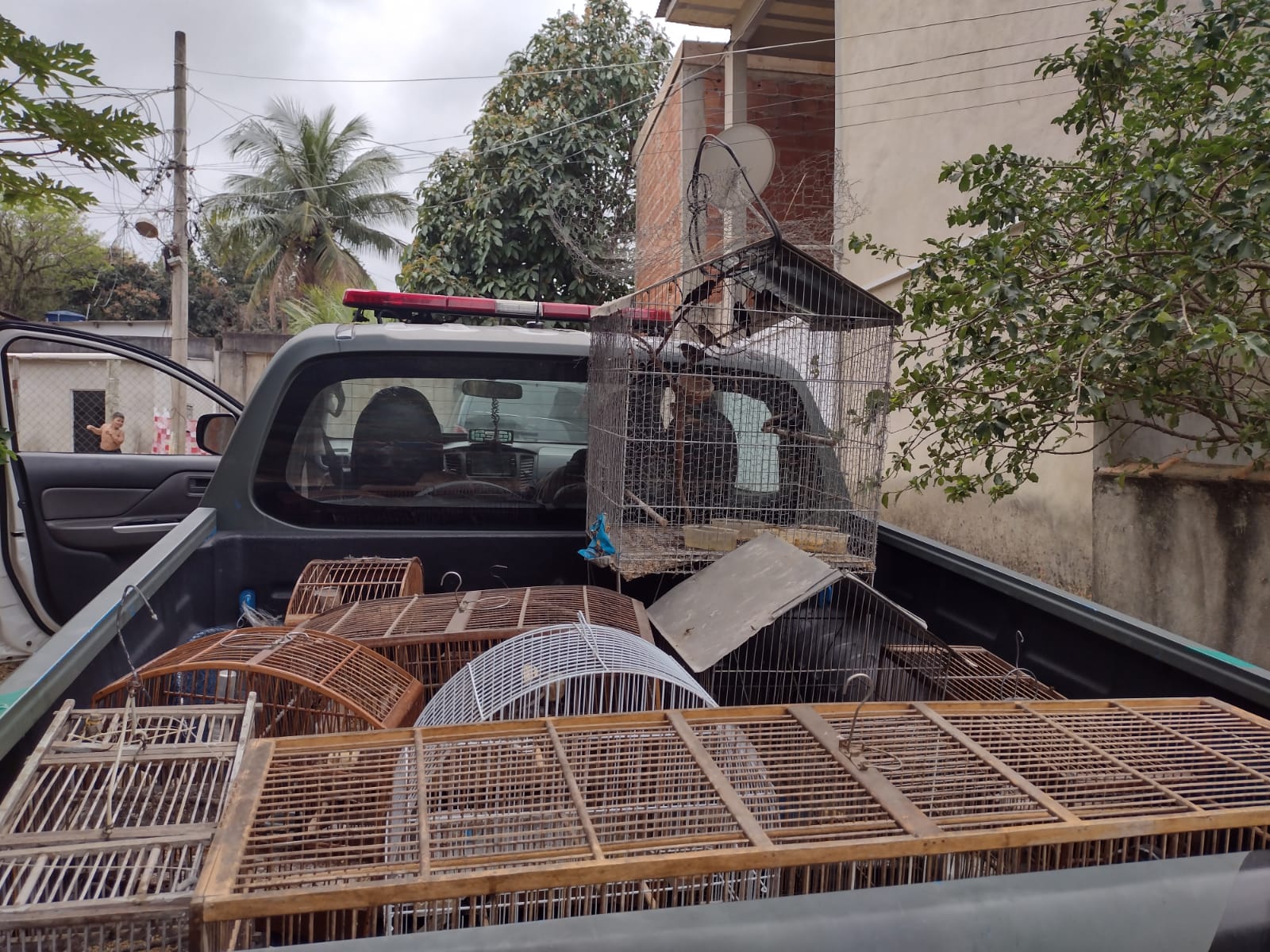 Polícia ambiental resgata 18 pássaros de cativeiro em Pedra de Guaratiba