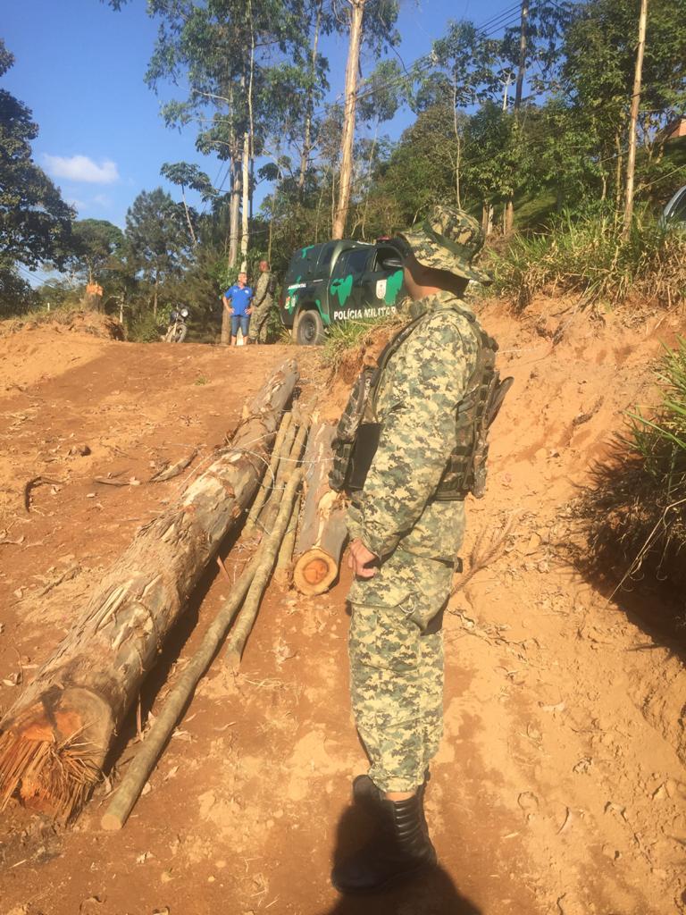 Polícia encontra árvores cortadas em Petrópolis após denúncia
