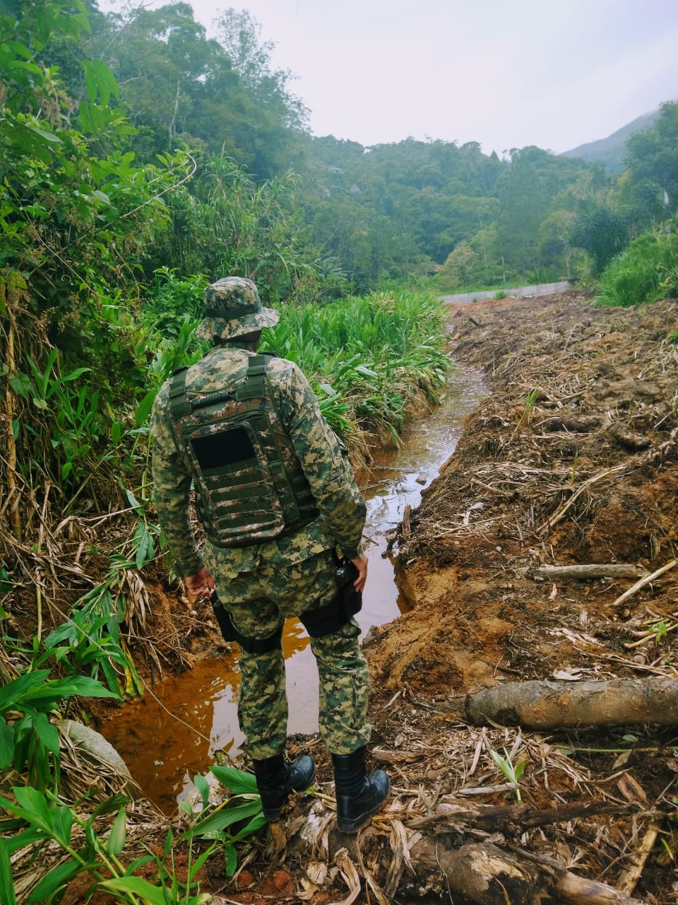 Denúncia do Linha Verde leva polícia a identificar diversos crimes ambientais em uma área degradada de 10 mil metros quadrados em Teresópolis