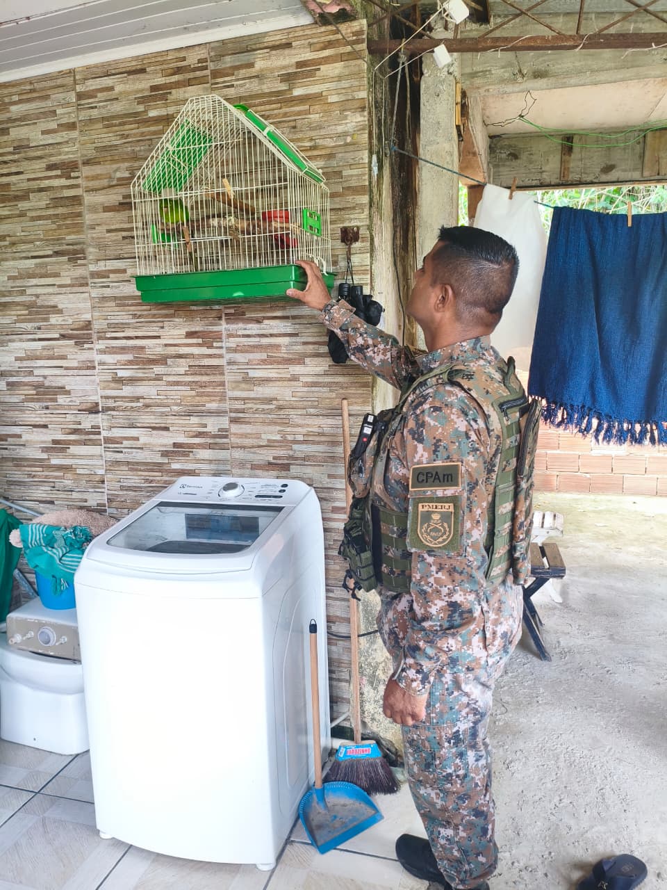 Polícia resgata maritaca mantida em cativeiro na Baixada Fluminense 