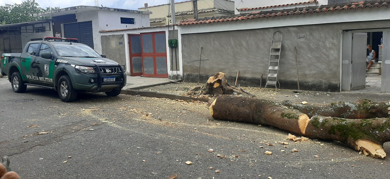 Três pessoas são conduzidas à delegacia após denúncia sobre extração irregular de árvores em Campo Grande