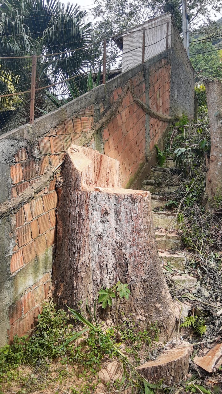 Polícia constata denúncia do Linha Verde sobre desmatamento em Teresópolis
