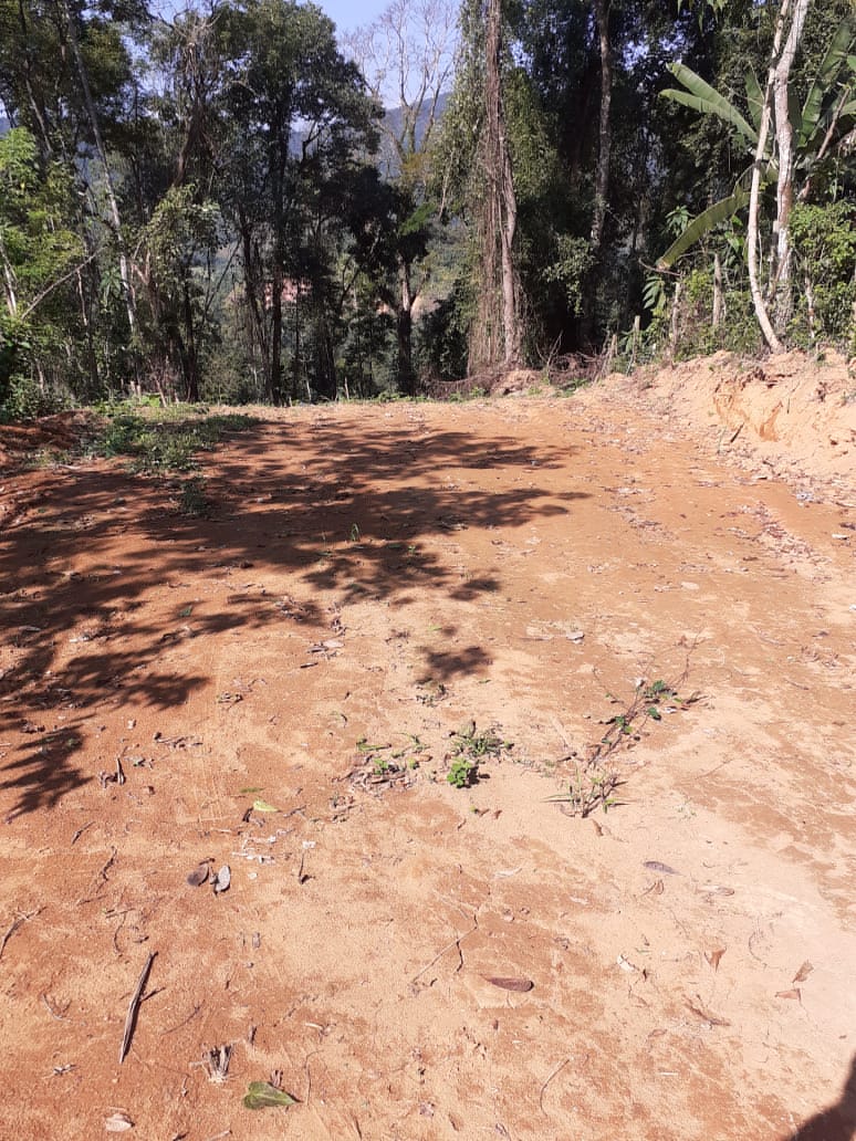 Com informações do Linha Verde, polícia ambiental encontra abertura ilegal de estrada e desmatamento em bairro de Paraty