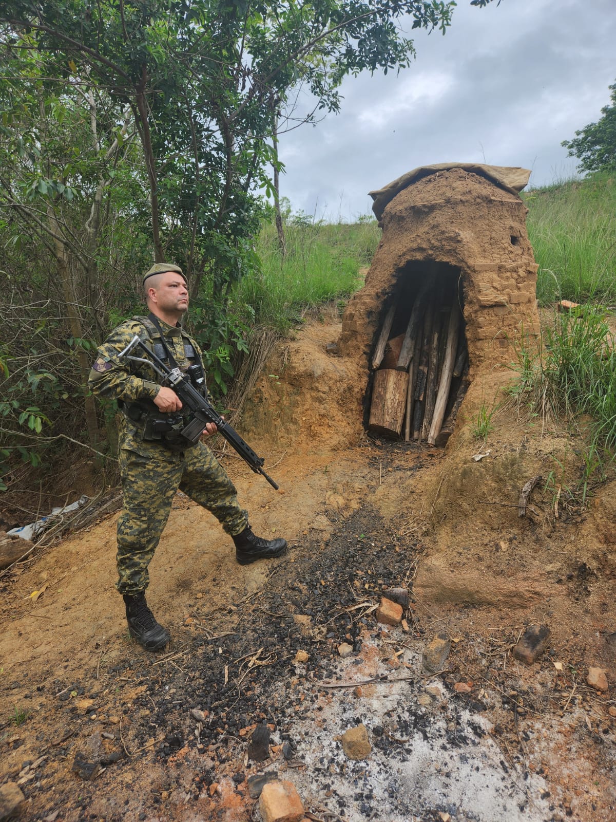 Polícia encontra forno para fabricação de carvão em Campo Grande e apreende periquitão maracanã após denúncia 