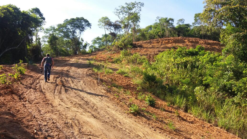 Cerca de 1 hectare de terra desmatada é encontrada por policiais após denúncia do Linha Verde