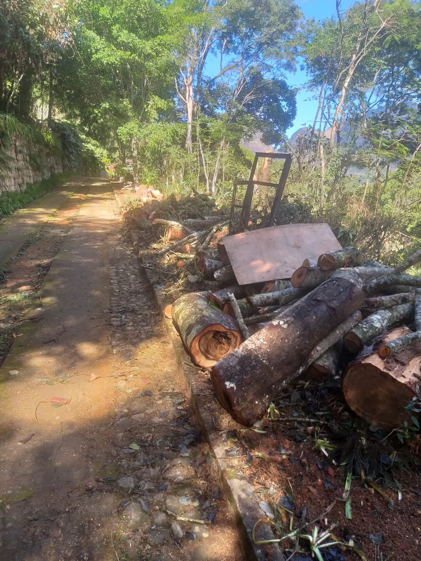 Linha Verde leva polícia a encontrar terreno desmatado em Petrópolis 