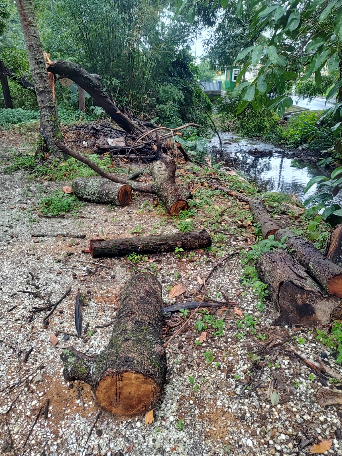 UPAm Juatinga flagra construção irregular e corte de árvores próximo a cachoeira em Itaguaí 