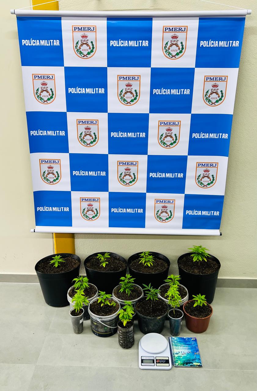 Disque Denúncia leva polícia militar a encontrar cultivo de pés de maconha em Paraty