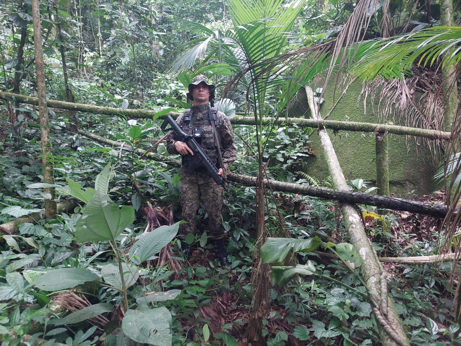 Indícios de caça ilegal de animais, desmatamento e extração de palmito jussara são encontrados dentro de unidade de conservação em Mangaratiba 