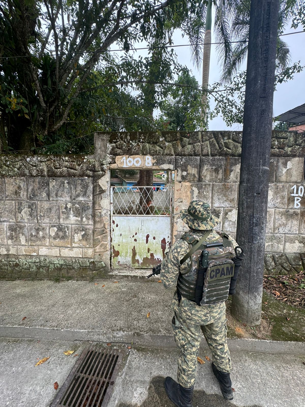 Polícia encontra árvore cortada sem licença em Mangaratiba com auxílio de denúncia 